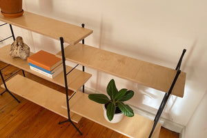 Ladder Shelves