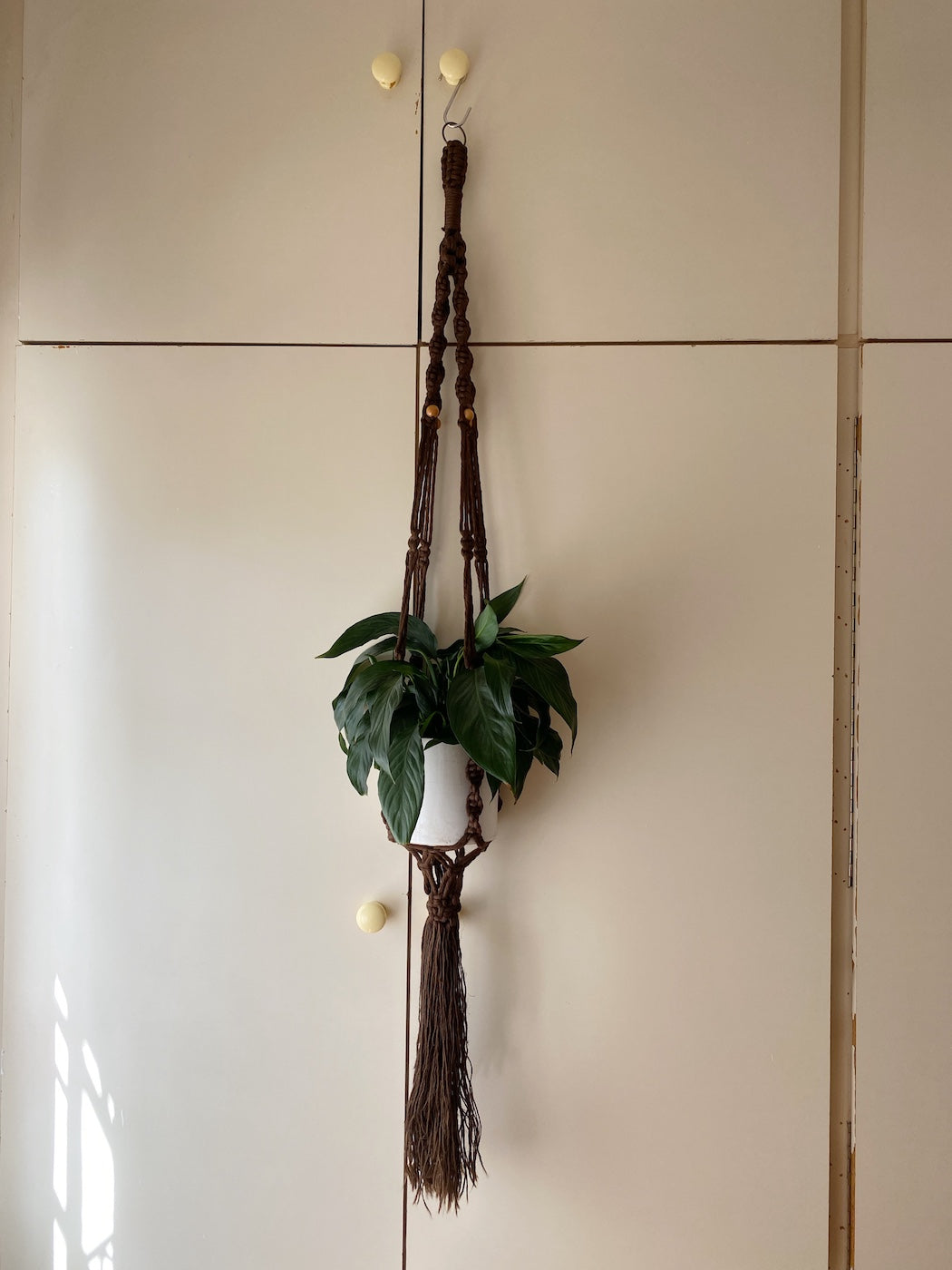 brown macrame plant hanger Brown Macrame Plant Hanger – MONSTERA