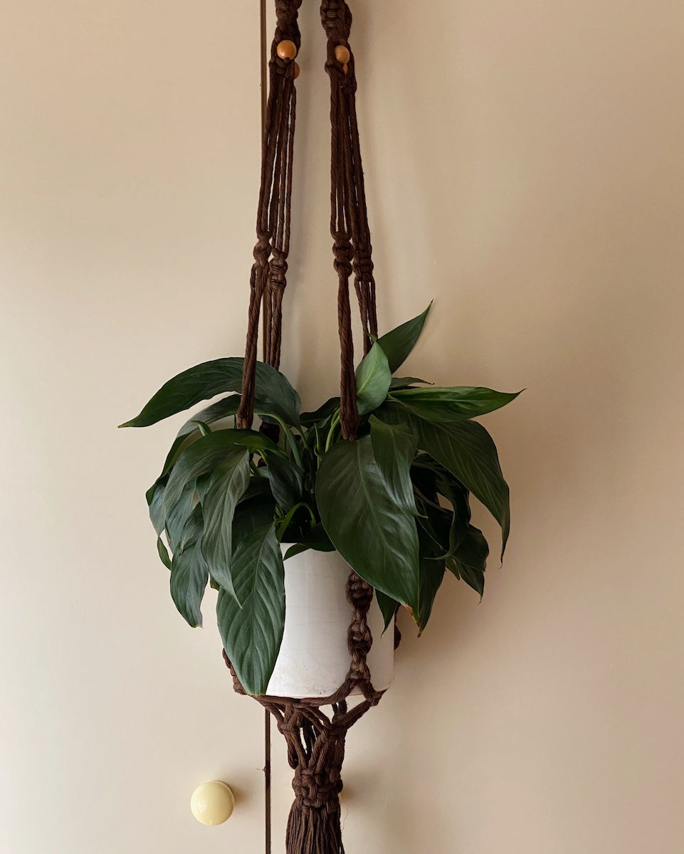 brown macrame plant hanger Brown Macrame Plant Hanger